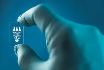 Microfluidic Chips and Devices Manufacturing Services